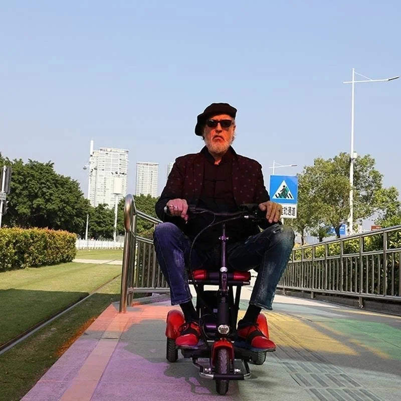 48V 600W Senior Electric Scooter