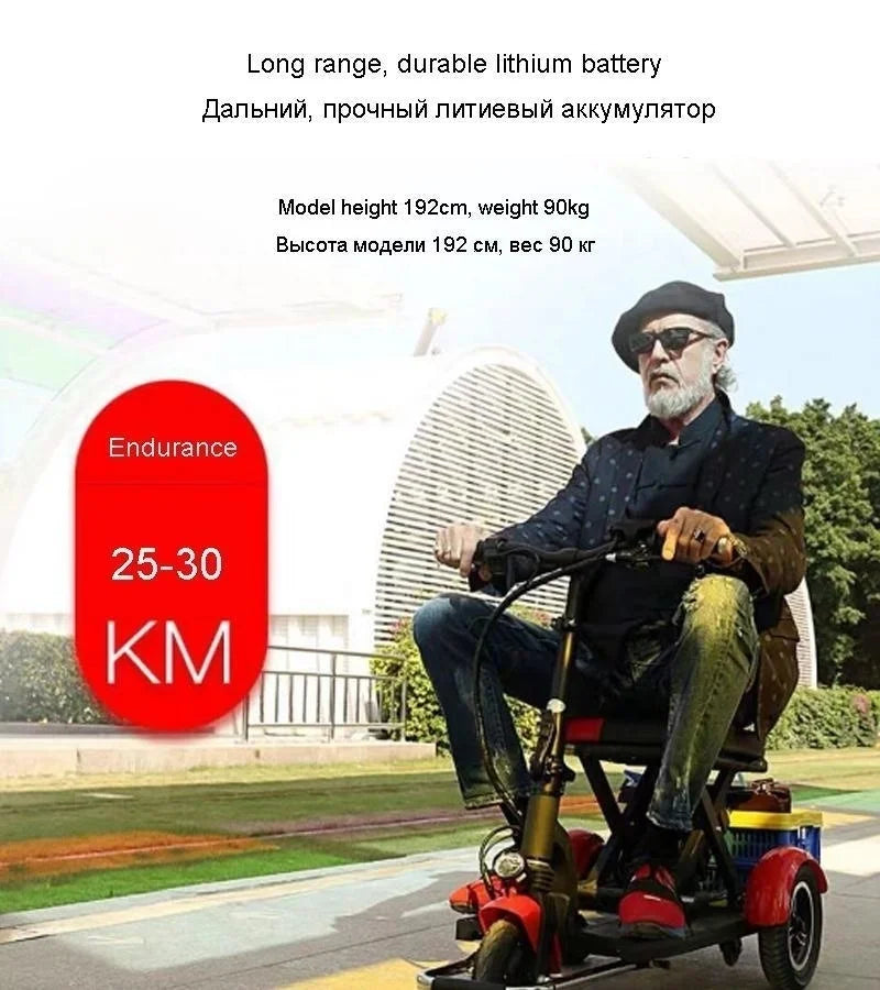 48V 600W Senior Electric Scooter