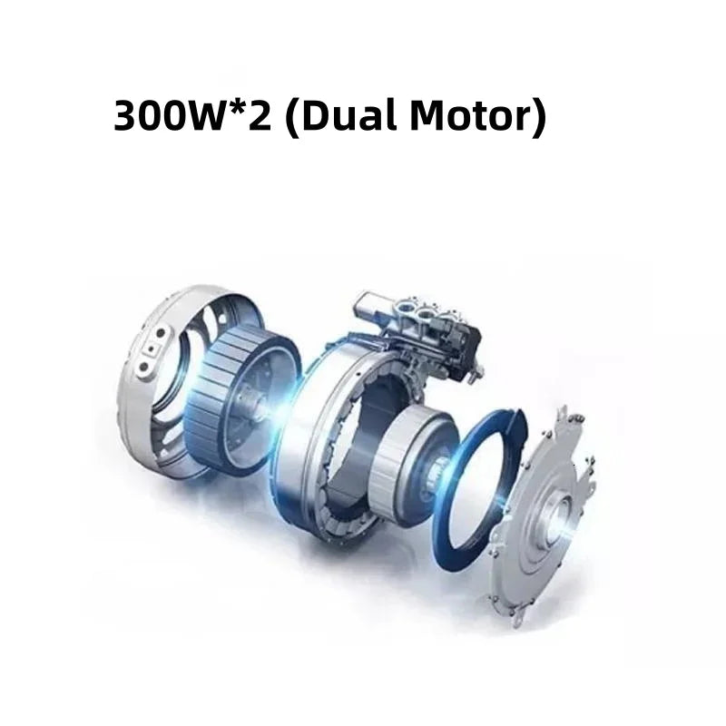48V 600W Senior Electric Scooter