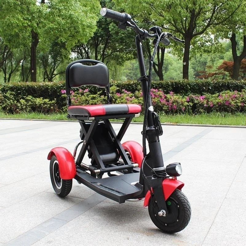 48V 600W Senior Electric Scooter