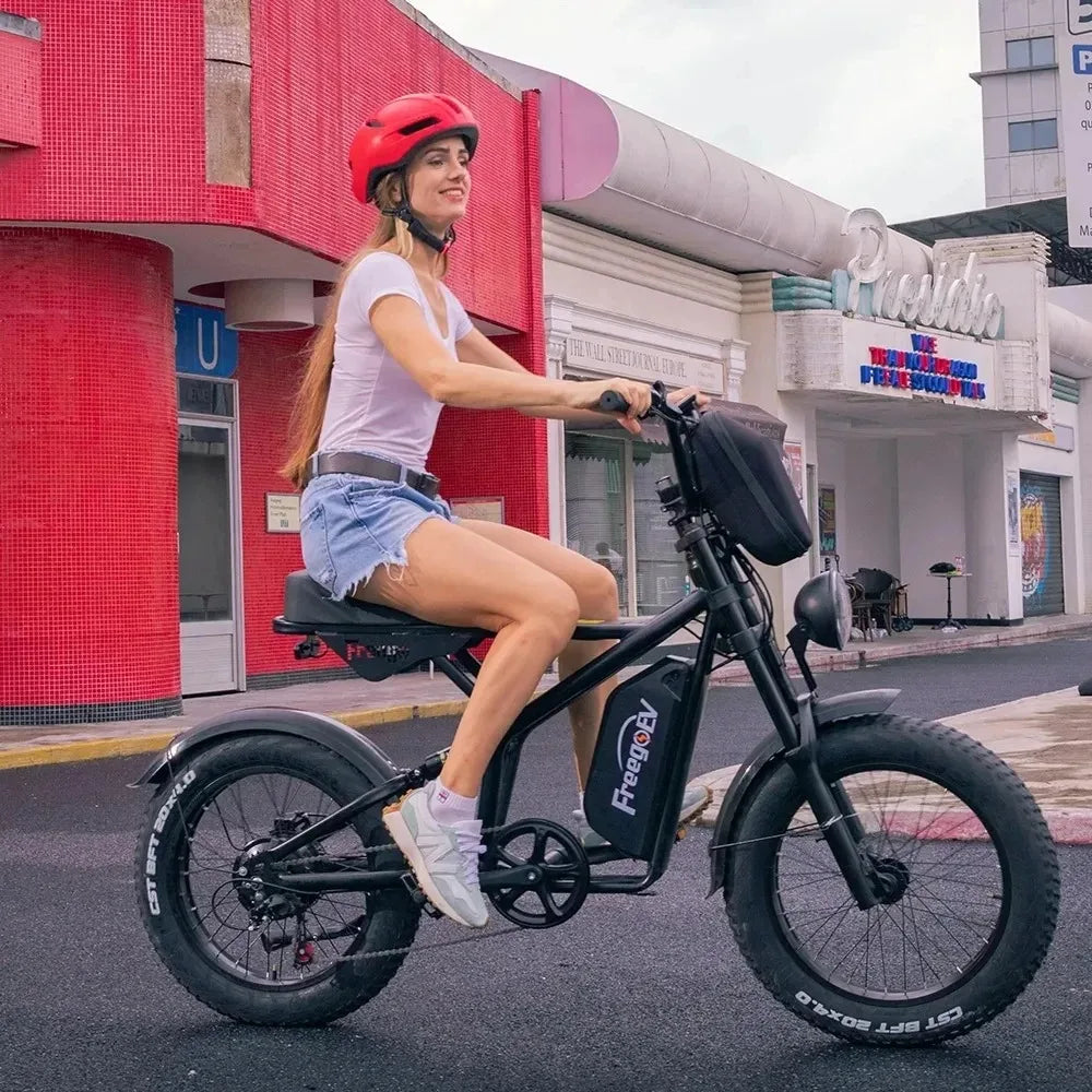 Fat Tire Electric Bike 48V