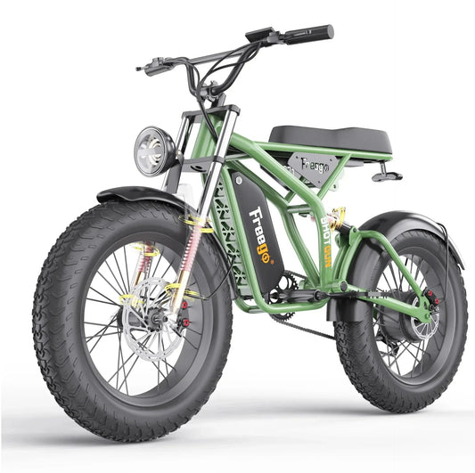 Fat Tire Electric Bike 48V