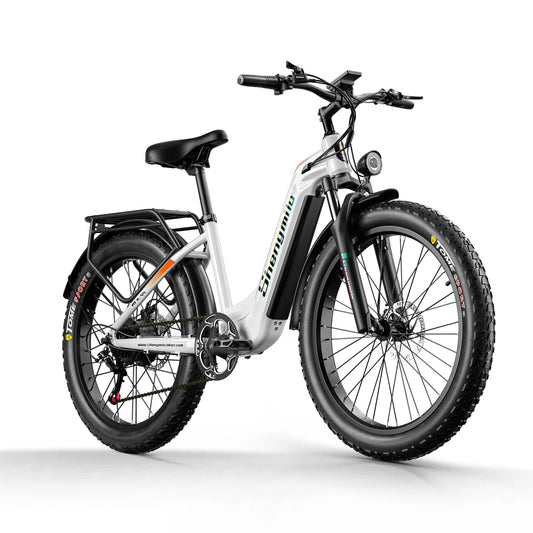 1000W 17.5AH Battery Adult E-mountain E Bike