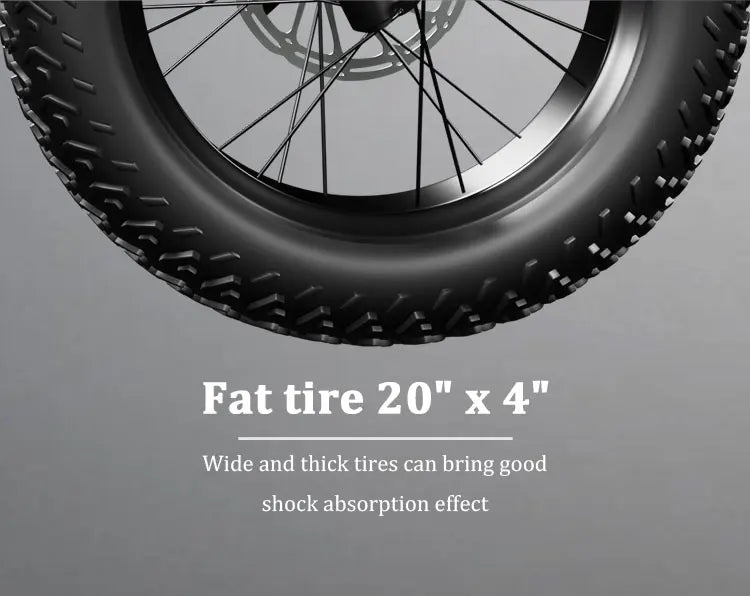 Fat Tire Electric Bike 48V