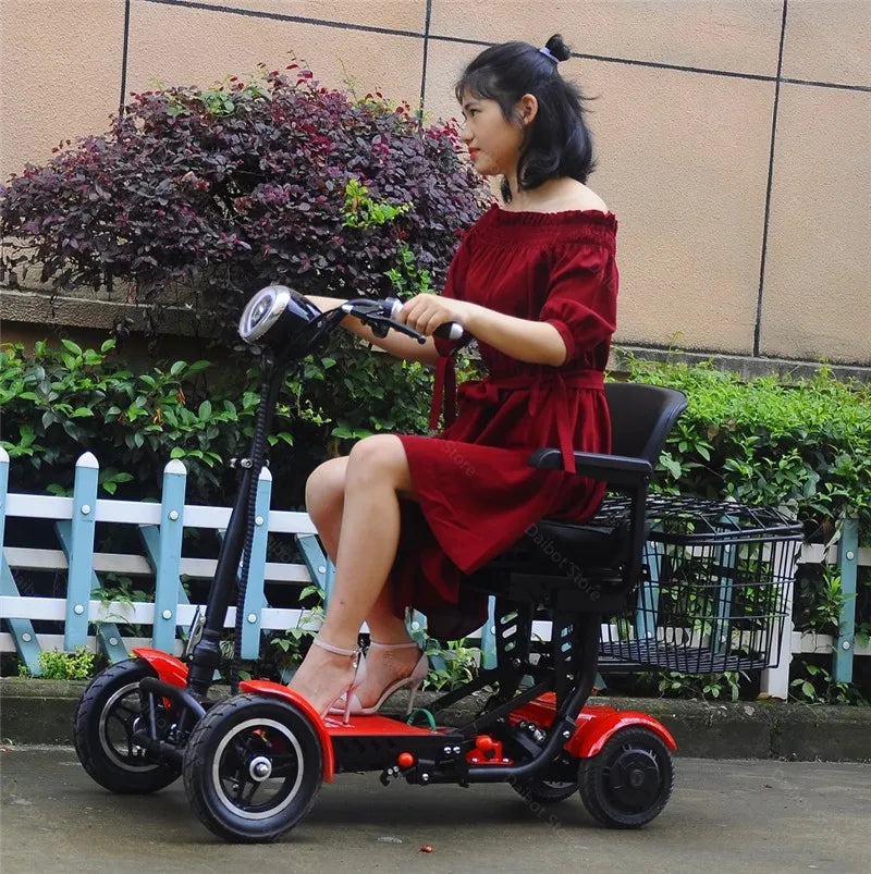 2 Dual Motor Electric Scooter