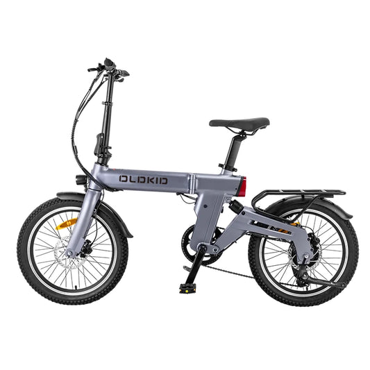 Folding Electric Bike