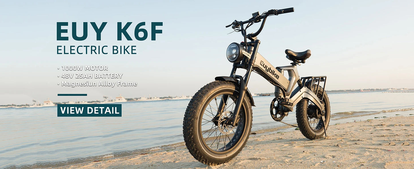 48v 1000w Fat Tire Electric Bike