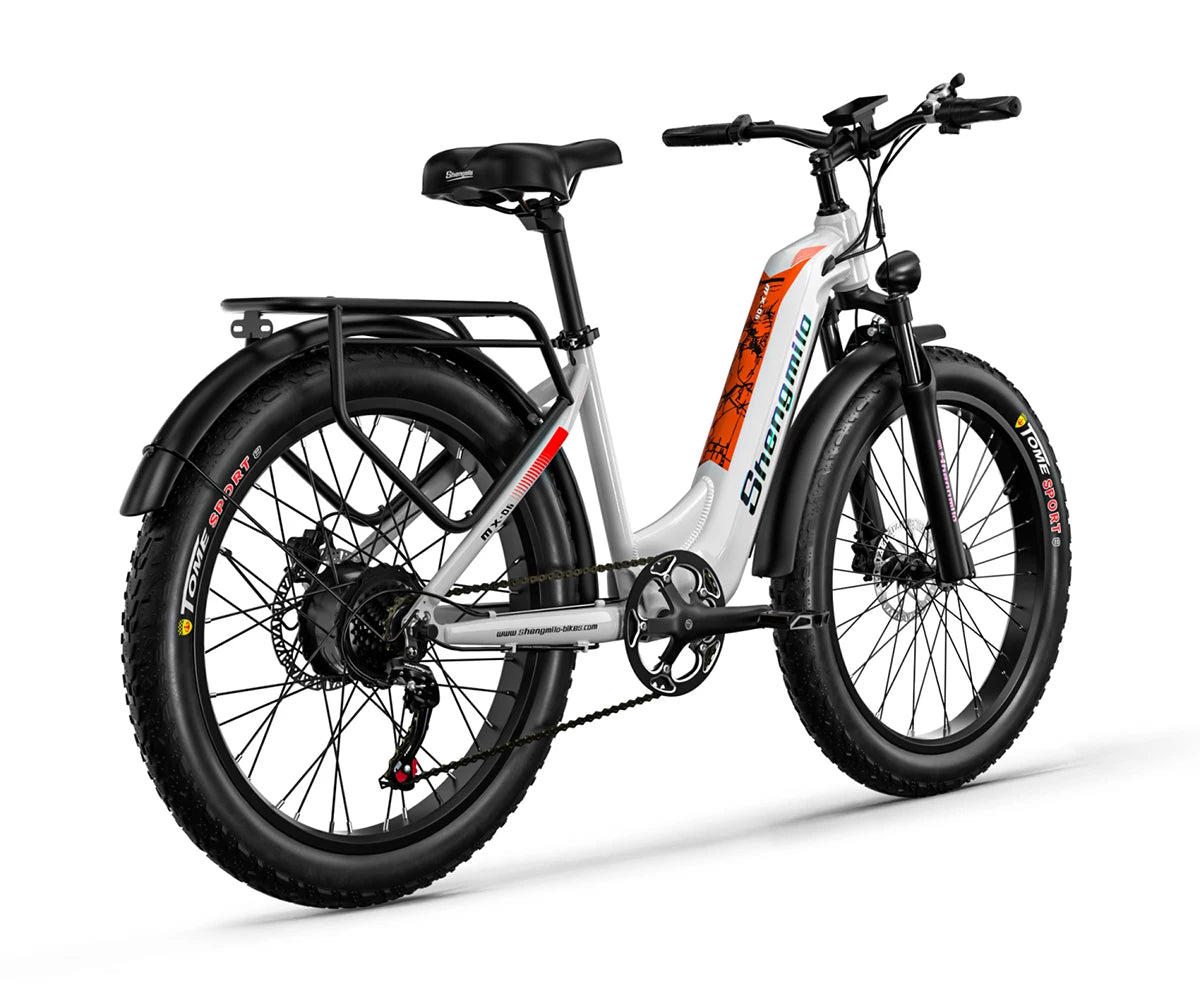 1000W 17.5AH Battery Adult E-mountain E Bike