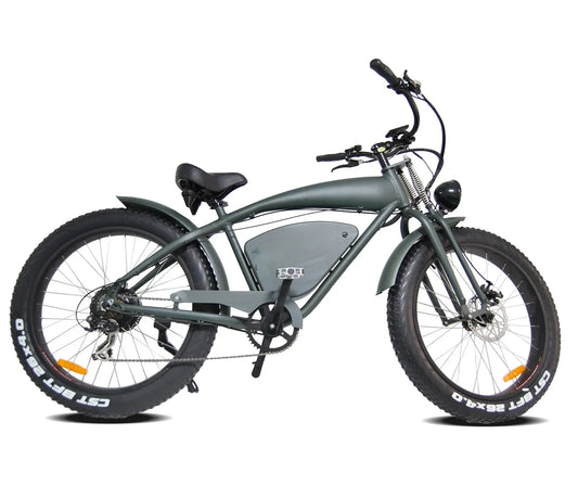 1000W 26 Inch Electric Bicycle