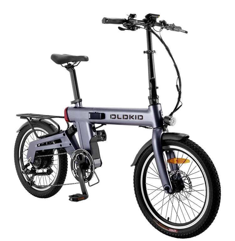 Folding Electric Bike