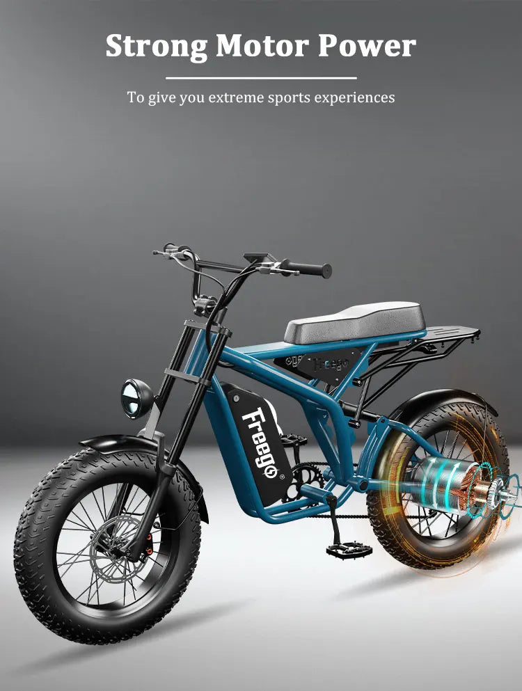 Fat Tire Electric Bike 48V