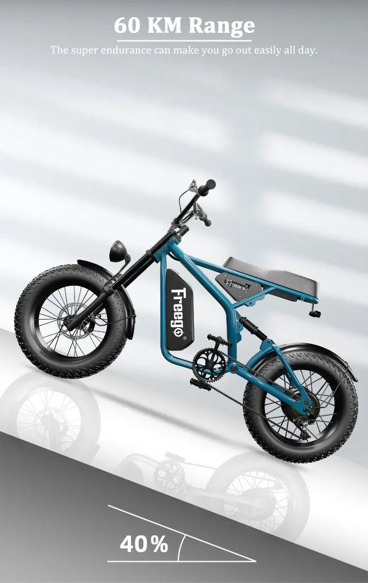 Fat Tire Electric Bike 48V