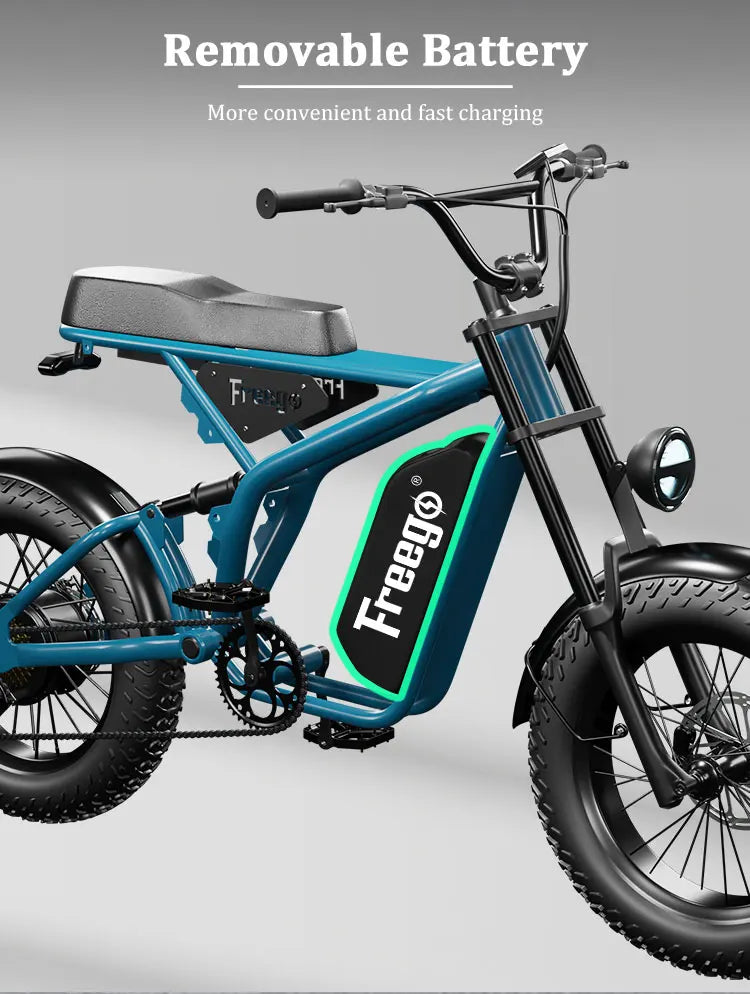 Fat Tire Electric Bike 48V