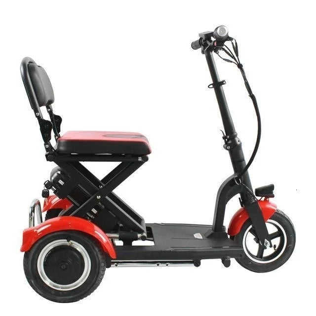 48V 600W Senior  Electric Scooter