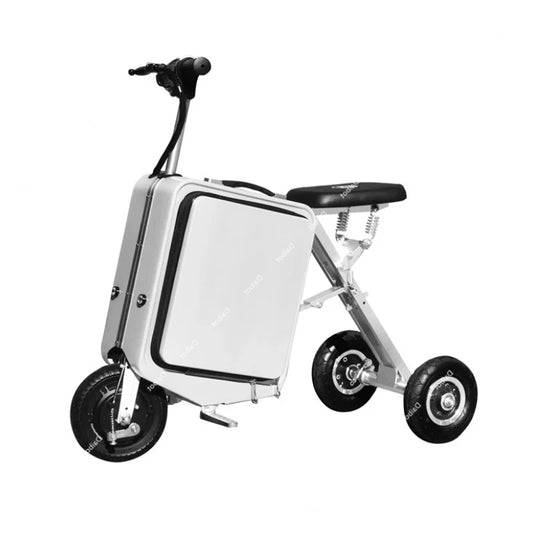 300W Electric Scooter Tricycle