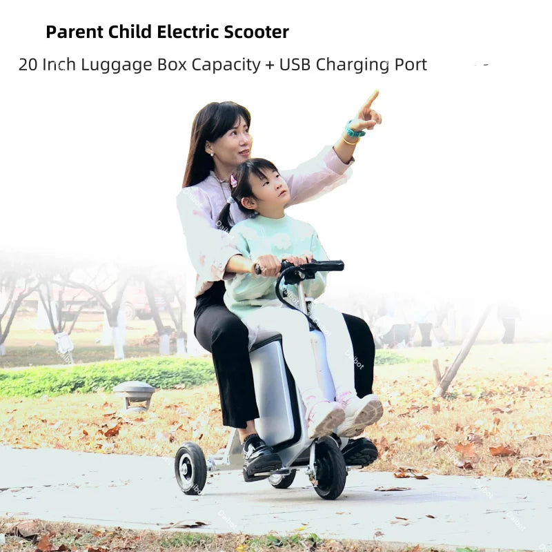 300W Electric Scooter Tricycle